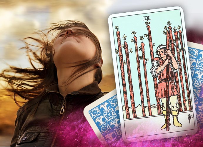  The Nine of Wands Tarot Card