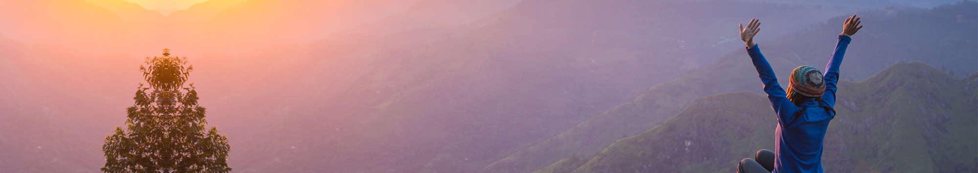 top-header-image