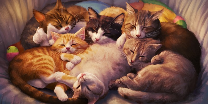 Ask Expert Pet Psychics: Does My Cat Love Me?