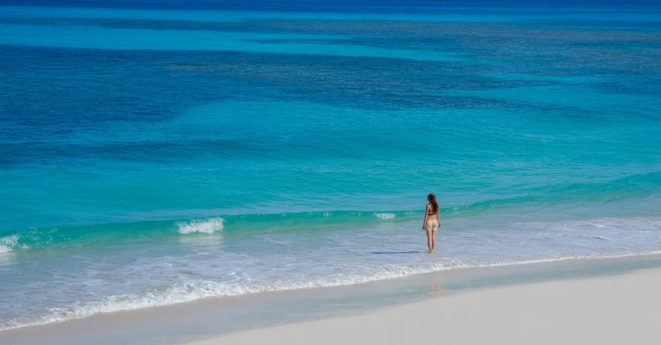 Pisces: How to Stay Grounded When You Feel Everything